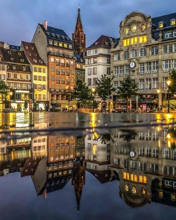 Appart & Studio Hyper Centre De Strasbourg - Proche Cathedrale & Petite France Экстерьер фото