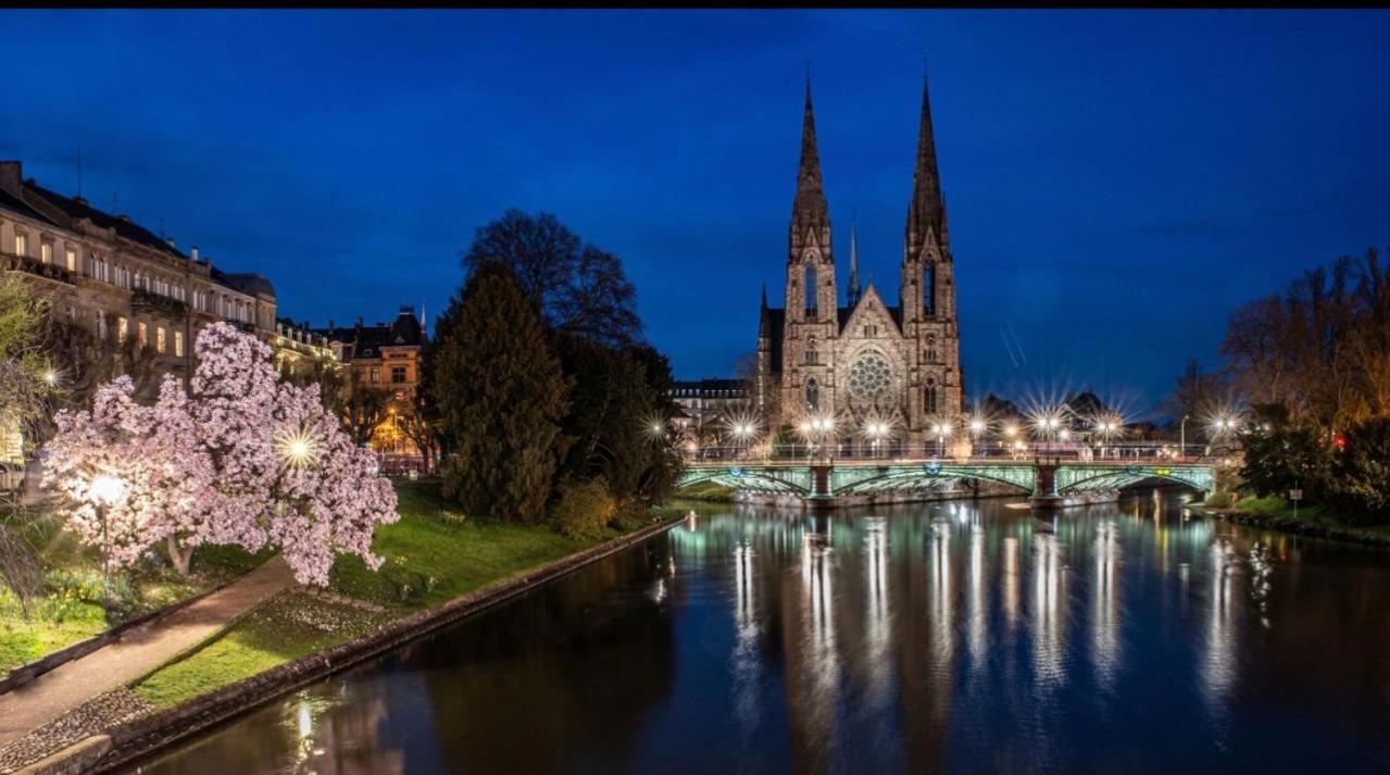 Appart & Studio Hyper Centre De Strasbourg - Proche Cathedrale & Petite France Экстерьер фото