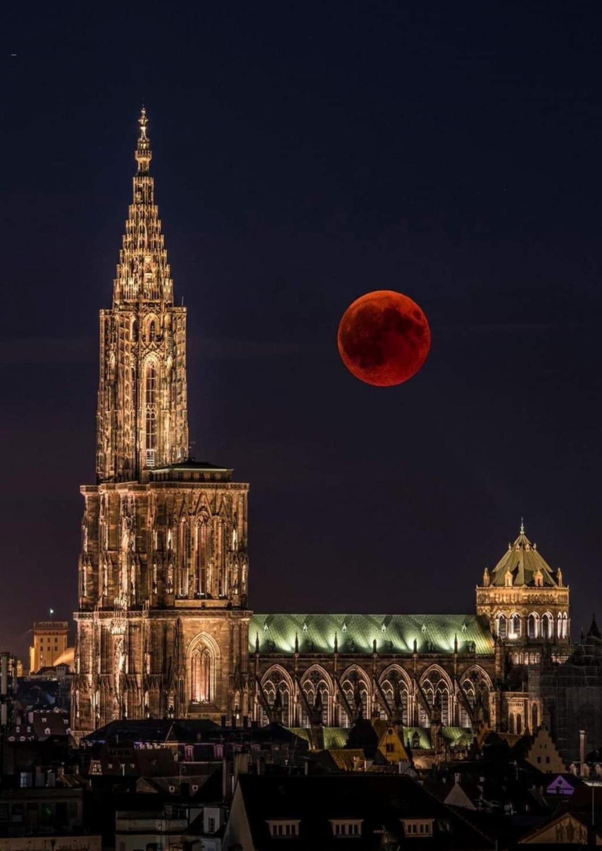 Appart & Studio Hyper Centre De Strasbourg - Proche Cathedrale & Petite France Экстерьер фото